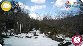 Centro Turistico Calafates del Llaima