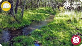 Centro Turistico Calafates del Llaima