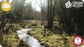 Centro Turistico Calafates del Llaima