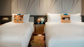 Holiday Inn Luzhou Longjian