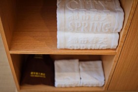 City Spring Hotel