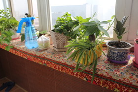 Gesa Xiaozhu International Youth Hostel