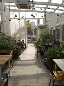 Seetang Youth Hostel Xi'an