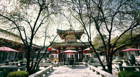 Tang Dynasty Art Garden