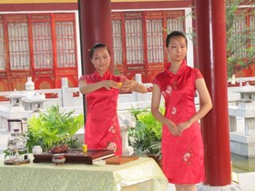 Tang Dynasty Art Garden