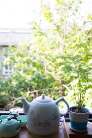 Xi'an Green Forest Hostel