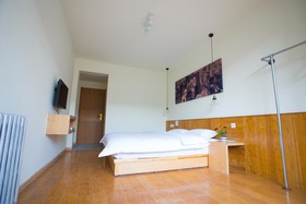 Xi'an Green Forest Hostel