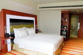 Novotel Zhengzhou Convention Centre