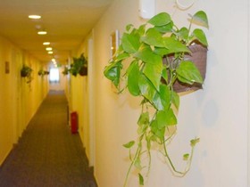 7Days Inn Hefei Pedestrian