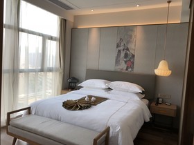 Shuguang The Hotel V Hefei Yaohai