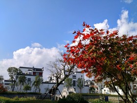 Huangshan Yuanzili Boutique Hostel