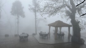 Wesley Rosegarden Lushan