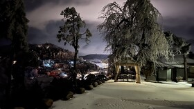 Wesley Rosegarden Lushan