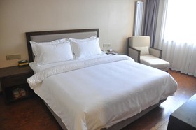 Metropolo Xuzhou Pengcheng Square Golden Shield