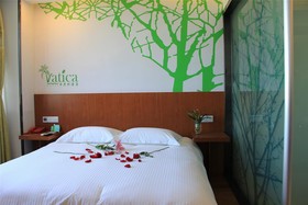 Vatica Shanghai Jiading District Anting Metro Station Moyu Road Hotel