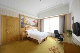 Vienna International Hotel Shanghai Malu Station