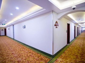 GreenTree Inn Shanghai JinShan Wanda Plaza Longxiang Road Express Hotel