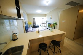 Le Jia Xuan Yuexi Apt HK Central Rd Mixc