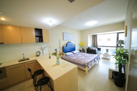 Le Jia Xuan Yuexi Apt HK Central Rd Mixc