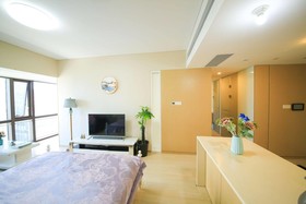 Le Jia Xuan Yuexi Apt HK Central Rd Mixc