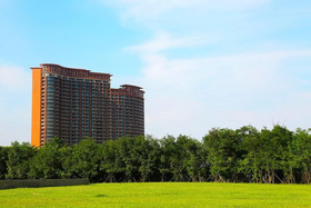 Mangrove Tree Resort World  Coconut Grove Tower