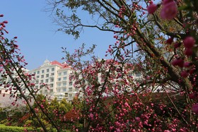 Sea View Garden Hotel