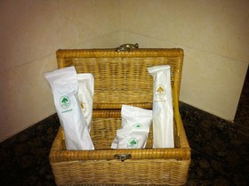 GreenTree Alliance Shanghai Anting Zhaofeng Road Subway Station Hotel