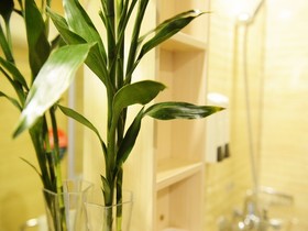 GreenTree Inn PuDong Disney Resort Airport Town Express Hotel