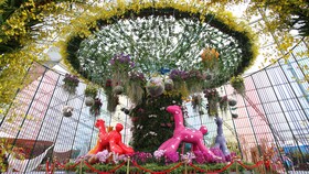 Intercontinental Shanghai Wonderland