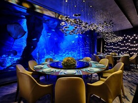 Intercontinental Shanghai Wonderland