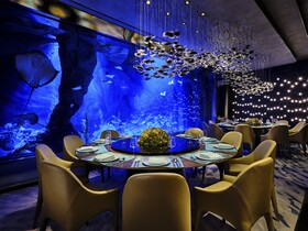 Intercontinental Shanghai Wonderland