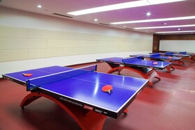 Jin Jiang Pine City Hotel