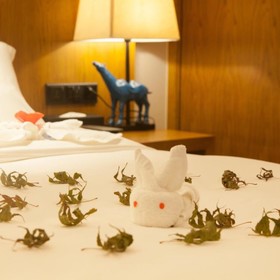 Manhattan Hotel Shanghai Pujiang
