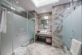 Novotel Shanghai International Tourism Zone North