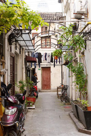 Shanghai Me Too