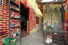 The Phoenix Hostel Shanghai
