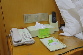 Venus International Hotel (Shanghai Wild Zoo Shop)