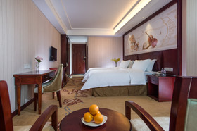 Vienna 3 Best Hotel Shanghai Expo Sanlin