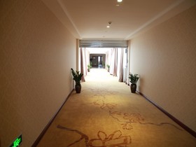 Vienna Hotel Shanghai Pudong Airport