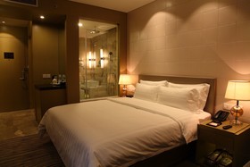 Wanxin Hotel Shanghai - Lujiazui