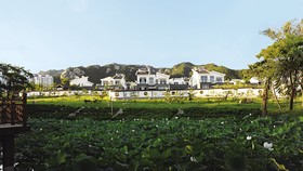 The Brigh Eco Hotel