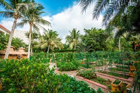 Wuzhizhou Island Resort Hotel Sanya