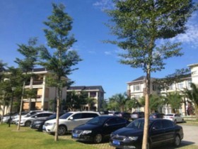 Chinese International Seven Saints Spa Hotel