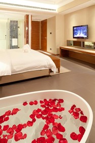 Joya International Hotel