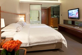 Joya International Hotel