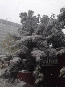 Holiday Inn Express Ordos Dongsheng