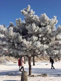 Lavande Hotels Jilin Songjiang Road Jiangwan Daqiao