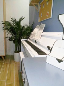 Bushe Apartment