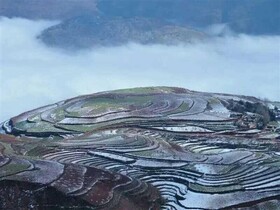 Red Land Plough Farm Stay