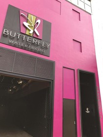 Butterfly on Waterfront